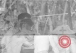 Immagine di La confessione e la massa Isola di Bougainville Papua Nuova Guinea, 1944, secondo 60 filmato di repertorio 65675046499