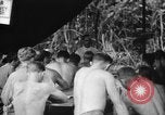 Immagine di La confessione e la massa Isola di Bougainville Papua Nuova Guinea, 1944, secondo 62 filmato di repertorio 65675046499