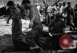 Immagine di Il cimitero di Bougainville Isole Salomone, 1944, secondo 23 filmato di repertorio 65675046500