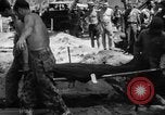 Immagine di Il cimitero di Bougainville Isole Salomone, 1944, secondo 24 filmato di repertorio 65675046500