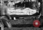 Immagine di Il cimitero di Bougainville Isole Salomone, 1944, secondo 26 filmato di repertorio 65675046500