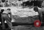 Immagine di Il cimitero di Bougainville Isole Salomone, 1944, secondo 29 filmato di repertorio 65675046500