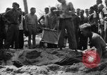 Immagine di Il cimitero di Bougainville Isole Salomone, 1944, secondo 47 filmato di repertorio 65675046500