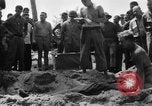 Immagine di Il cimitero di Bougainville Isole Salomone, 1944, secondo 51 filmato di repertorio 65675046500