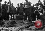 Immagine di Il cimitero di Bougainville Isole Salomone, 1944, secondo 53 filmato di repertorio 65675046500