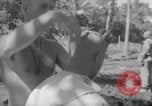 Image Taux de décote l'île de Bougainville en Papouasie-Nouvelle-Guinée, 1944, de la seconde 8 séquences d'archives historiques vidéo 65675046501