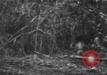 Image chien de combat l'île de Bougainville en Papouasie-Nouvelle-Guinée, 1944, de la seconde 4 séquences d'archives historiques vidéo 65675046502