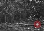 Image chien de combat l'île de Bougainville en Papouasie-Nouvelle-Guinée, 1944, de la seconde 6 séquences d'archives historiques vidéo 65675046502