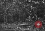 Image chien de combat l'île de Bougainville en Papouasie-Nouvelle-Guinée, 1944, de la seconde 7 séquences d'archives historiques vidéo 65675046502