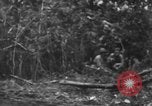 Image chien de combat l'île de Bougainville en Papouasie-Nouvelle-Guinée, 1944, de la seconde 8 séquences d'archives historiques vidéo 65675046502