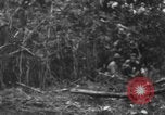 Image chien de combat l'île de Bougainville en Papouasie-Nouvelle-Guinée, 1944, de la seconde 9 séquences d'archives historiques vidéo 65675046502