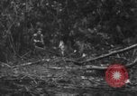 Image chien de combat l'île de Bougainville en Papouasie-Nouvelle-Guinée, 1944, de la seconde 15 séquences d'archives historiques vidéo 65675046502