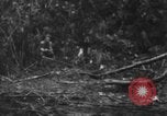 Image chien de combat l'île de Bougainville en Papouasie-Nouvelle-Guinée, 1944, de la seconde 16 séquences d'archives historiques vidéo 65675046502
