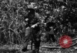 Image chien de combat l'île de Bougainville en Papouasie-Nouvelle-Guinée, 1944, de la seconde 58 séquences d'archives historiques vidéo 65675046502