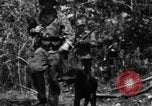 Image chien de combat l'île de Bougainville en Papouasie-Nouvelle-Guinée, 1944, de la seconde 59 séquences d'archives historiques vidéo 65675046502