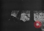Standbild 145th Infanterie Regiment Salomonen, 1944, aus Sekunde 13 historischem Filmmaterial Videoclip 65675046505