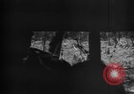 Standbild 145th Infanterie Regiment Salomonen, 1944, aus Sekunde 15 historischem Filmmaterial Videoclip 65675046505