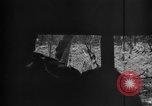 Standbild 145th Infanterie Regiment Salomonen, 1944, aus Sekunde 16 historischem Filmmaterial Videoclip 65675046505