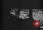 Standbild 145th Infanterie Regiment Salomonen, 1944, aus Sekunde 19 historischem Filmmaterial Videoclip 65675046505