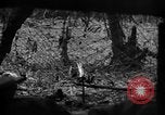 Standbild 145th Infanterie Regiment Salomonen, 1944, aus Sekunde 23 historischem Filmmaterial Videoclip 65675046505