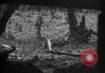 Standbild 145th Infanterie Regiment Salomonen, 1944, aus Sekunde 24 historischem Filmmaterial Videoclip 65675046505