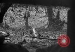 Standbild 145th Infanterie Regiment Salomonen, 1944, aus Sekunde 26 historischem Filmmaterial Videoclip 65675046505