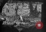 Standbild 145th Infanterie Regiment Salomonen, 1944, aus Sekunde 28 historischem Filmmaterial Videoclip 65675046505