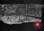 Standbild 145th Infanterie Regiment Salomonen, 1944, aus Sekunde 32 historischem Filmmaterial Videoclip 65675046505