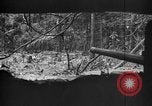 Standbild 145th Infanterie Regiment Salomonen, 1944, aus Sekunde 33 historischem Filmmaterial Videoclip 65675046505