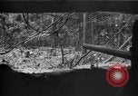 Standbild 145th Infanterie Regiment Salomonen, 1944, aus Sekunde 34 historischem Filmmaterial Videoclip 65675046505