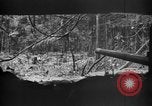 Standbild 145th Infanterie Regiment Salomonen, 1944, aus Sekunde 39 historischem Filmmaterial Videoclip 65675046505