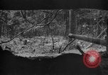 Standbild 145th Infanterie Regiment Salomonen, 1944, aus Sekunde 40 historischem Filmmaterial Videoclip 65675046505