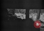 Standbild 145th Infanterie Regiment Salomonen, 1944, aus Sekunde 47 historischem Filmmaterial Videoclip 65675046505