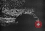 Standbild 145th Infanterie Regiment Salomonen, 1944, aus Sekunde 60 historischem Filmmaterial Videoclip 65675046505
