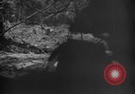 Standbild 145th Infanterie Regiment Salomonen, 1944, aus Sekunde 61 historischem Filmmaterial Videoclip 65675046505
