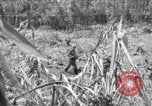 Image of 145th Infantry Regiment Solomon Islands, 1944, second 1 stock footage video 65675046506