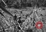 Image of 145th Infantry Regiment Solomon Islands, 1944, second 3 stock footage video 65675046506