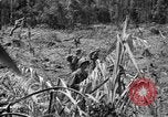 Image of 145th Infantry Regiment Solomon Islands, 1944, second 5 stock footage video 65675046506
