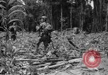 Image of 145th Infantry Regiment Solomon Islands, 1944, second 11 stock footage video 65675046506