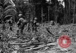 Image of 145th Infantry Regiment Solomon Islands, 1944, second 12 stock footage video 65675046506