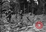 Image of 145th Infantry Regiment Solomon Islands, 1944, second 13 stock footage video 65675046506