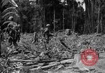 Image of 145th Infantry Regiment Solomon Islands, 1944, second 14 stock footage video 65675046506