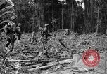 Image of 145th Infantry Regiment Solomon Islands, 1944, second 15 stock footage video 65675046506