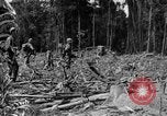 Image of 145th Infantry Regiment Solomon Islands, 1944, second 16 stock footage video 65675046506