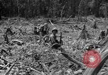 Image of 145th Infantry Regiment Solomon Islands, 1944, second 17 stock footage video 65675046506