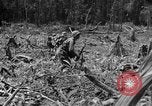 Image of 145th Infantry Regiment Solomon Islands, 1944, second 18 stock footage video 65675046506