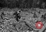 Image of 145th Infantry Regiment Solomon Islands, 1944, second 19 stock footage video 65675046506