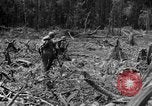 Image of 145th Infantry Regiment Solomon Islands, 1944, second 20 stock footage video 65675046506