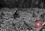 Image of 145th Infantry Regiment Solomon Islands, 1944, second 22 stock footage video 65675046506
