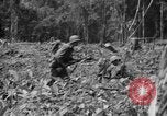Image of 145th Infantry Regiment Solomon Islands, 1944, second 23 stock footage video 65675046506